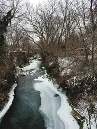 River amidst bare trees during winter