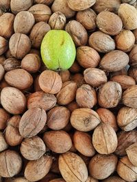 Full frame shot of walnuts