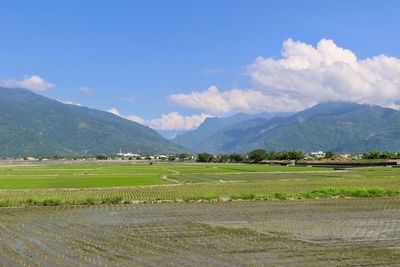 Scenic view of agricultural field against sky