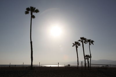 Silhouette palm trees on beach against sky during sunset