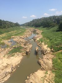 Scenic view of river amidst trees against sky