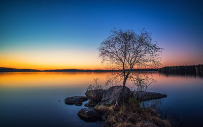 Tree by lake against sky during sunset