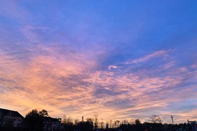 Low angle view of silhouette trees against sky during sunset