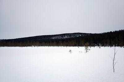 Scenic view of lake against clear sky during winter