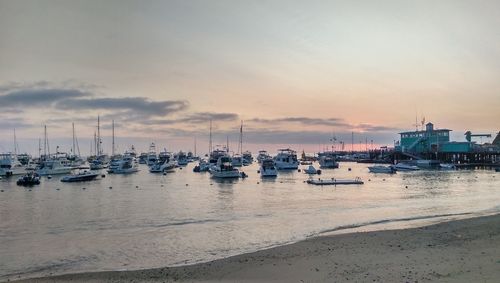 Boats moored in harbor at sunset