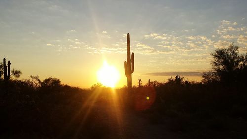 Sun shining through clouds
