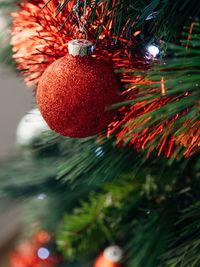 Close-up of christmas tree