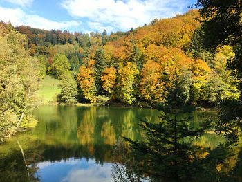 Scenic view of lake by trees against sky