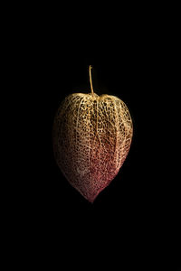 Close-up of heart shape over black background