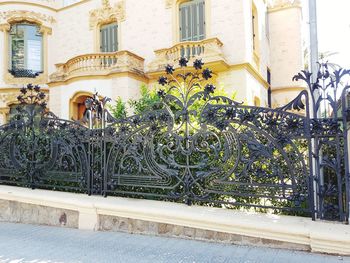 Plants by street against building