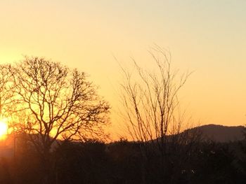 Silhouette bare tree against clear sky during sunset