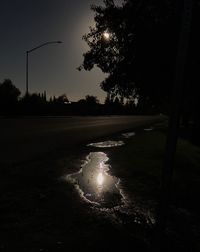 Road by trees against sky at night