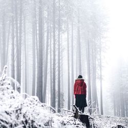 Rear view of woman standing in frozen forest