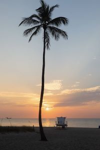 Silhouette palm tree on beach against sky during sunrise 