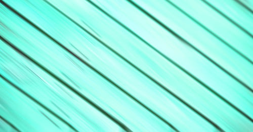 Full frame shot of palm leaf