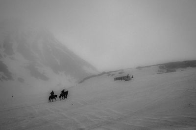 High angle view of horse on snowcapped mountain against sky