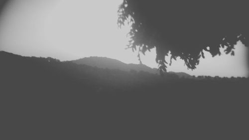 Silhouette of trees against sky