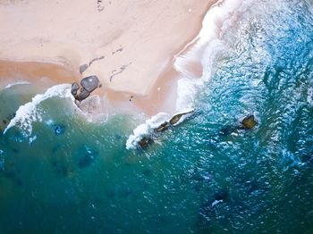 High angle view of fishes swimming in sea