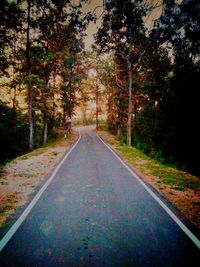 Road amidst trees during autumn