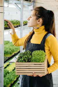 Woman urban indoor farmer with box of microgreen, small business vertical farm. microgreens 