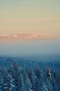 Aerial view of land on field against sky during sunset