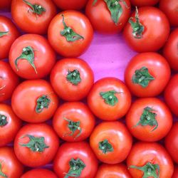 Tomatos in a bucket