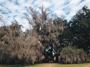 Trees on landscape against cloudy sky