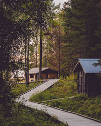 House by trees and plants in forest