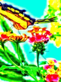 Low angle view of flowers