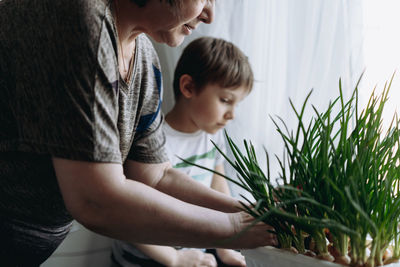 Little boy helping his grandmother to pick fresh onion