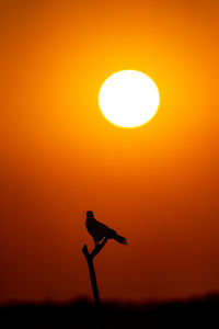 Silhouette people against yellow sky during sunset