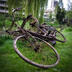 Close-up of rusty bicycle on grass