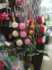 Close-up of potted plants