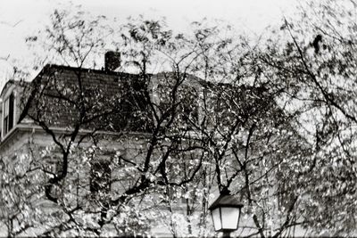 Low angle view of bare trees against sky