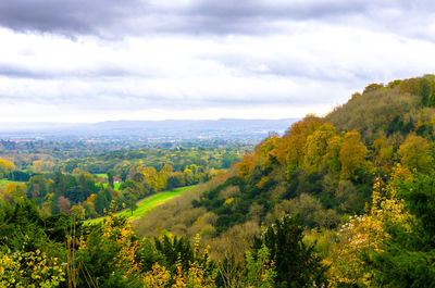 South downs national park in auturm, east hampshire, england