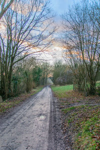 Footpath passing through bare trees