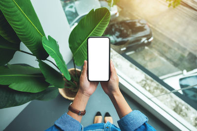 Low section of woman using mobile phone