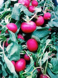 Full frame shot of strawberries