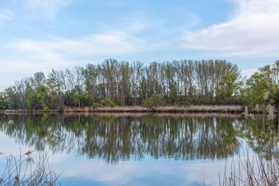 Scenic view of lake by trees against sky