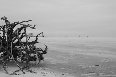 View of calm beach against the sky