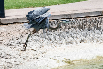 Side view of a person in water