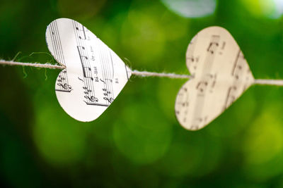 Close-up of heart shape sheet music on rope