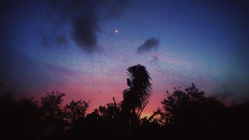 Low angle view of silhouette trees against sky at night
