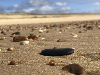 Close-up of stones on sand