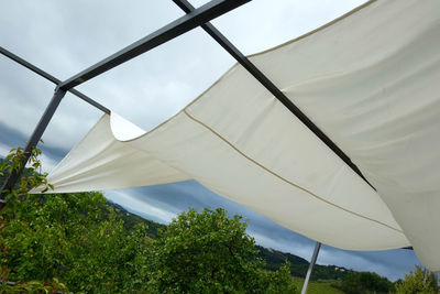 Low angle view of tree against sky