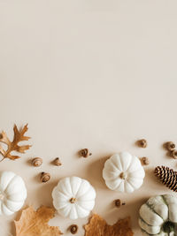 Fall composition with different leaves, pumpkins, acorns on beige background.