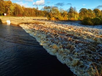 View of river flowing through forest