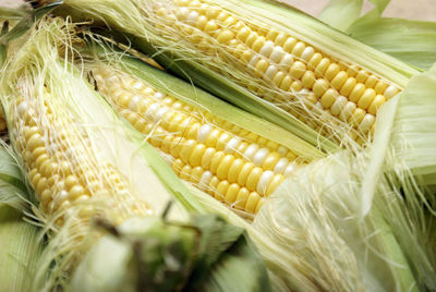 Close-up of corn