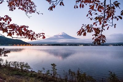 Scenic view of lake by trees against sky