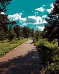 Footpath amidst trees against sky